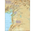 The later activity of Shalmaneser III in the west