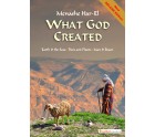 What God Created